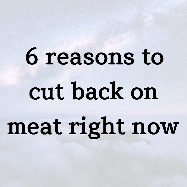 6 reasons to cut back on meat right now
